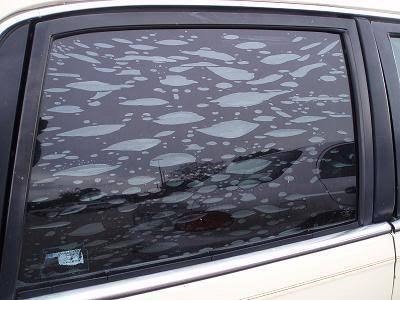 5 Tips To Remove Bubbles In Window Tint